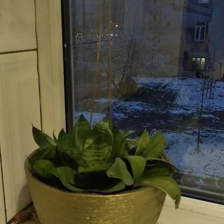 Apartment Anna