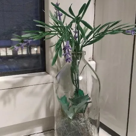 Apartment Anna *
